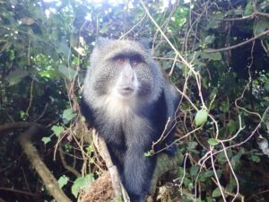 Hiking on Kili