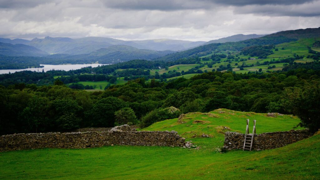 Windermere Low Level walks