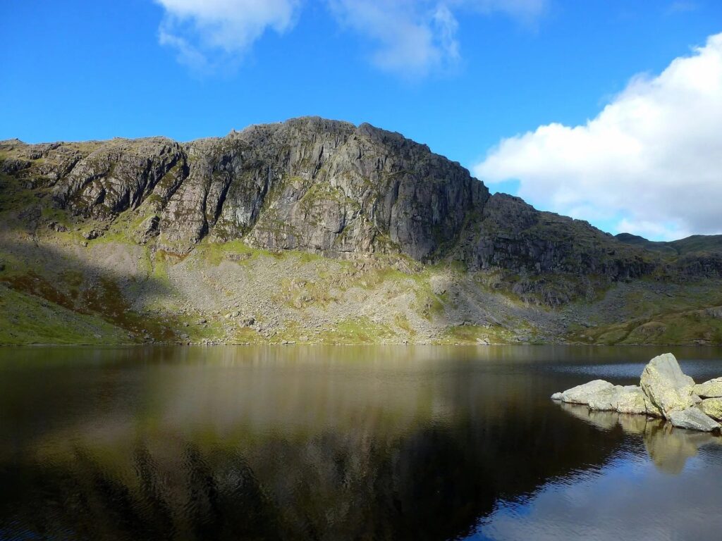 Climbing Jacks Rake